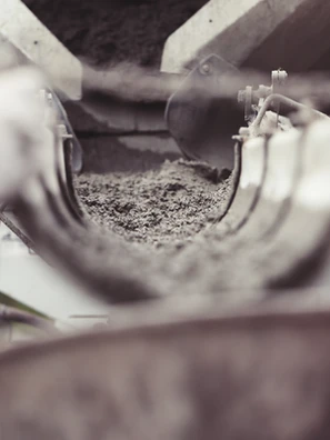 Mold Testing